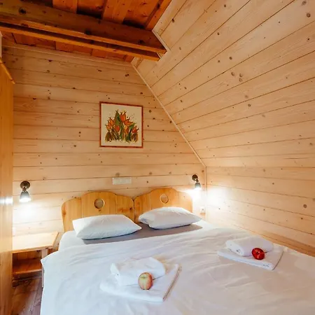 Wellness Janosikov Dvor 4*