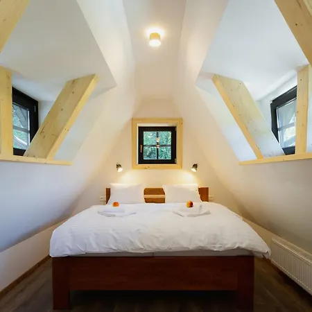 Wellness Janosikov Dvor 4*