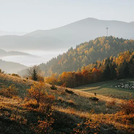 Wellness Janosikov Dvor Zázrivá