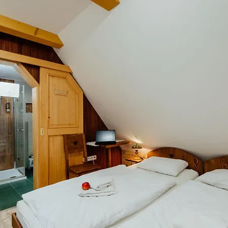 Wellness Janosikov Dvor 4* Zázrivá