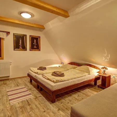 Wellness Janosikov Dvor 4* Zázrivá