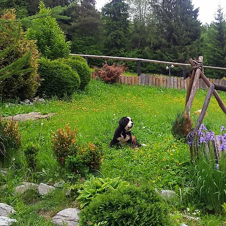 Fogadó Wellness Janosikov Dvor 4*